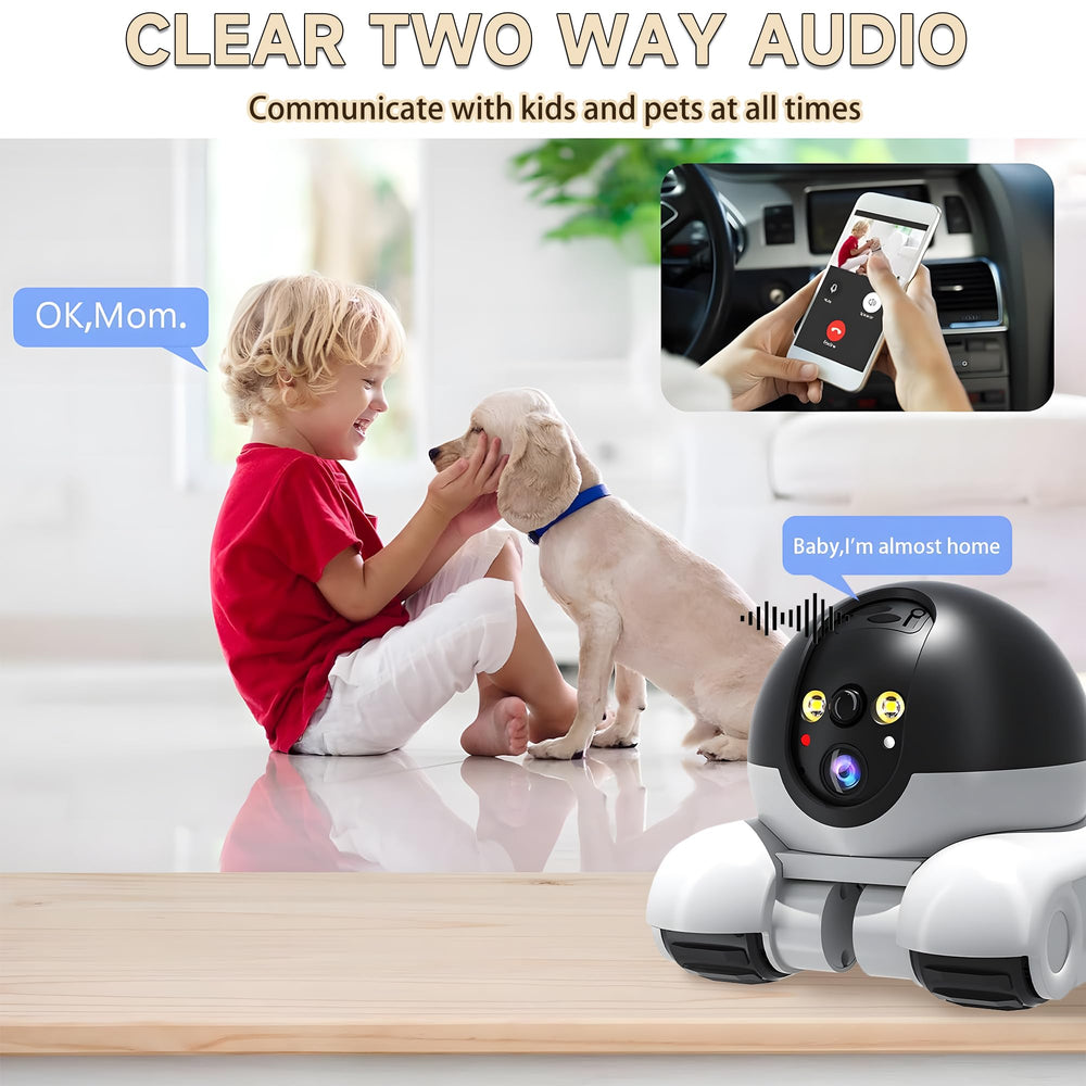OROMVO Pet Camera color night vision reveals details in low light.