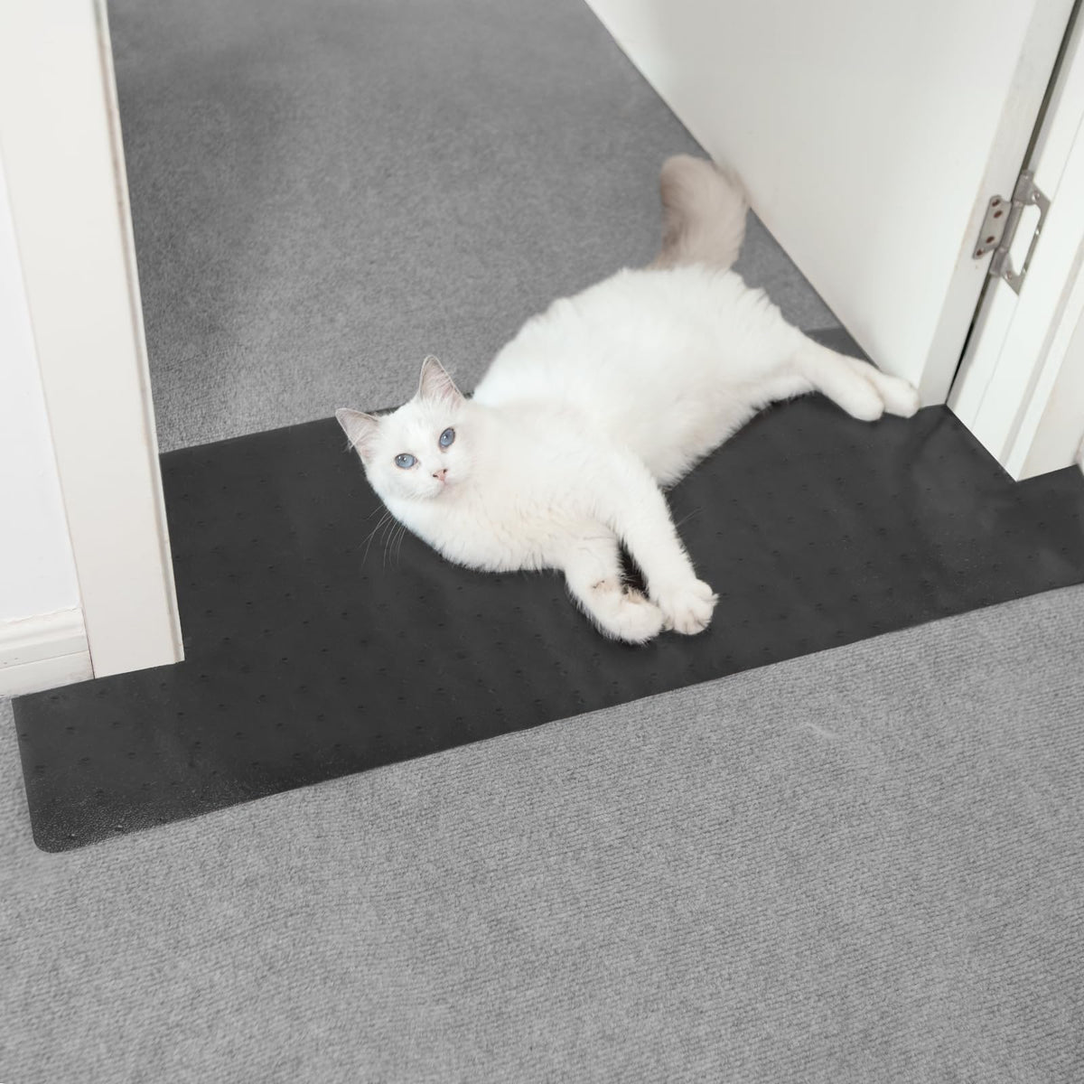 Oroonoko carpet protector doorway guards carpets from pet scratches.