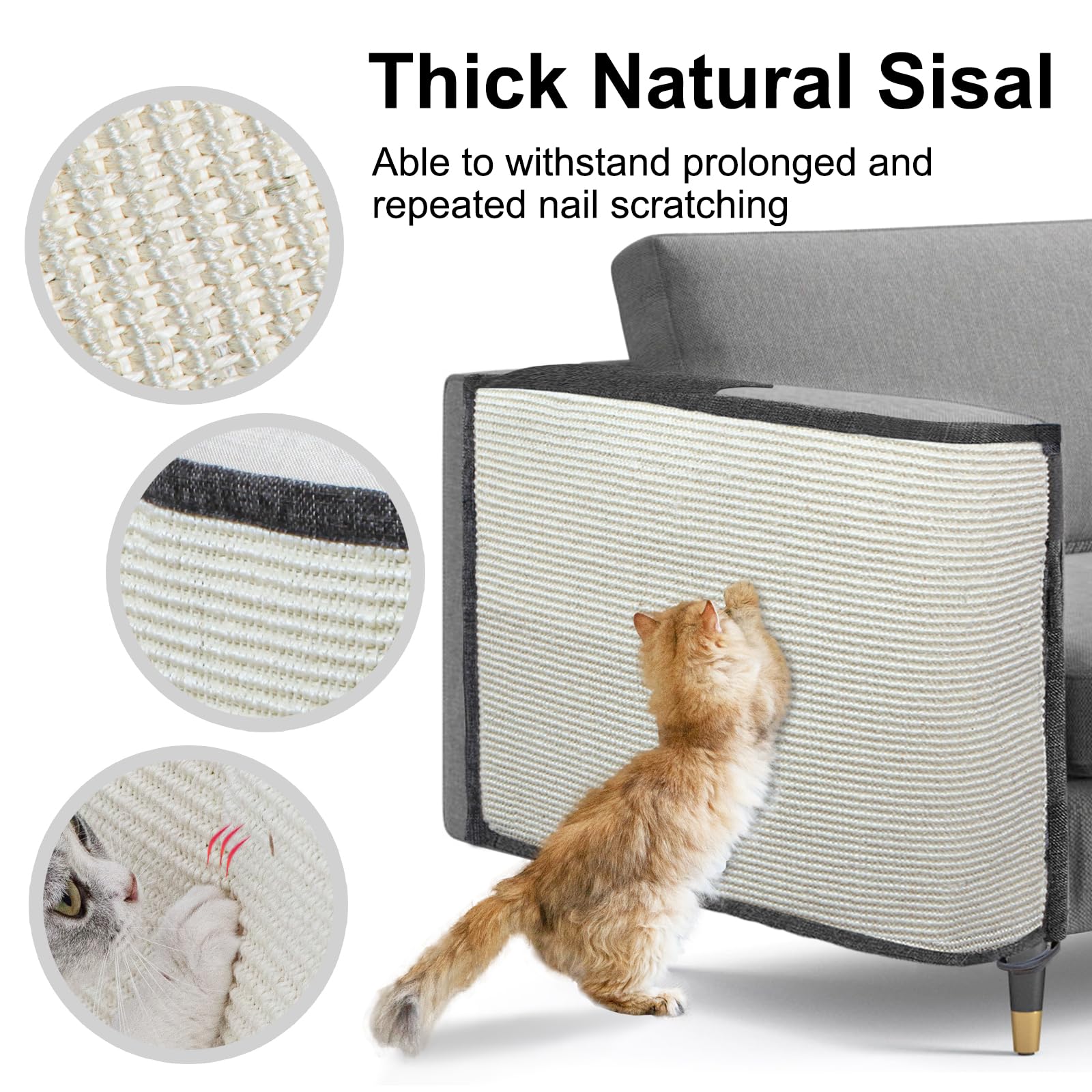 Oroonoko eco-friendly non-toxic materials ensure safe pet use.