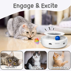 ORSDA auto on-off modes adapt to your cat’s energy.