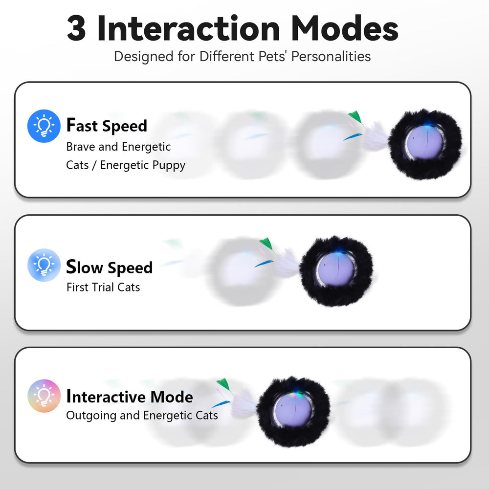 ORSDA fast rolling action invites quick chasing sessions and exercise.
