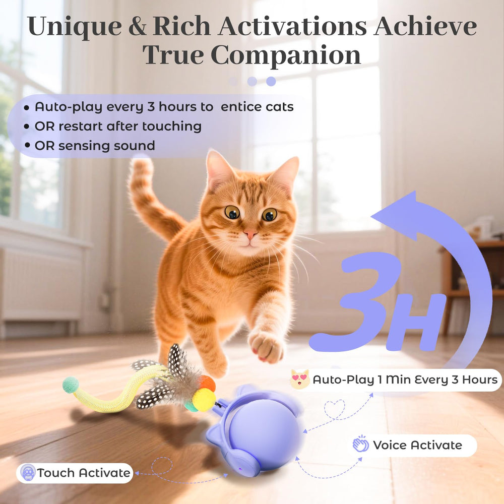 ORSDA cat toy simulating mouse sounds to attract indoor cats