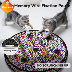 ORSDA touch sensor activation starts play with a gentle paw tap.