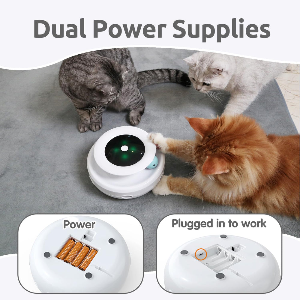 ORSDA paws-safe track offers smooth edges for safe play.