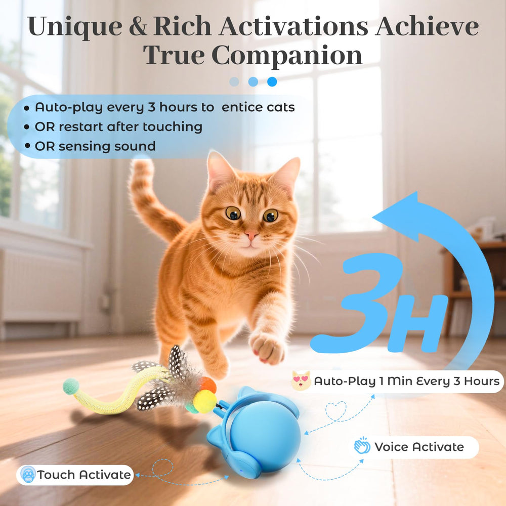 ORSDA ball emits mouse sounds to attract curious cats.