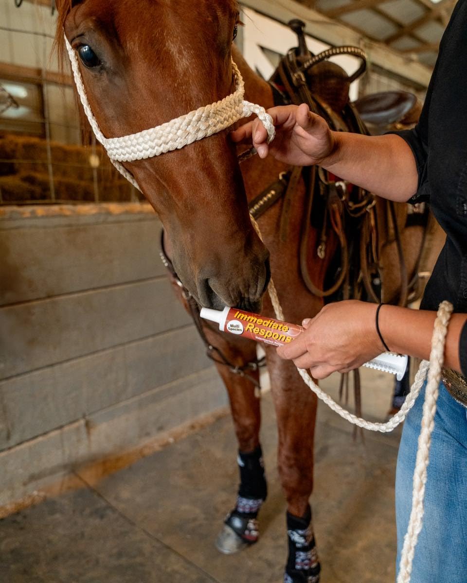 ORTHO EQUINE paste applied orally to support fast digestive comfort during travel