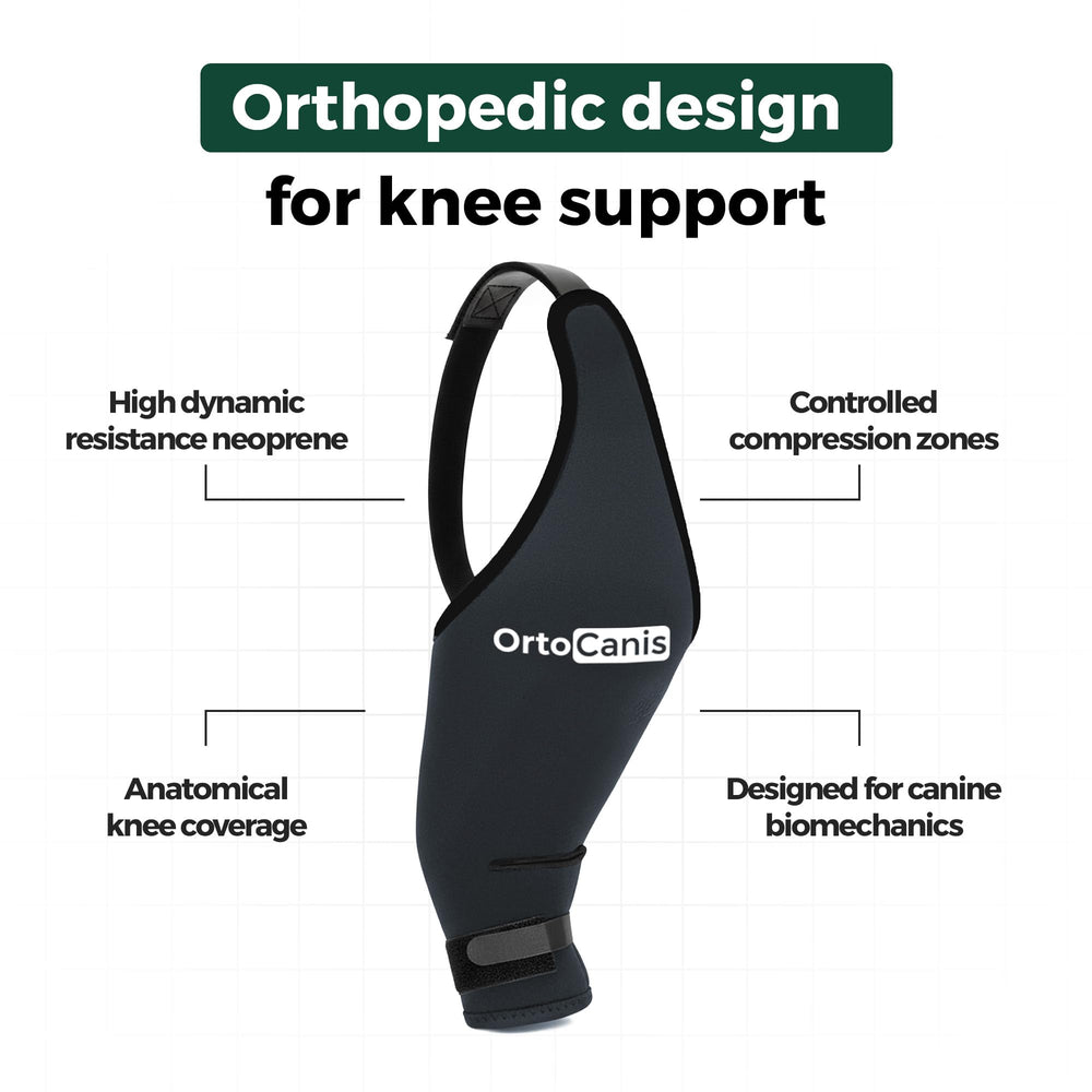 Ortocanis knee brace illustrating flexible fit and movement