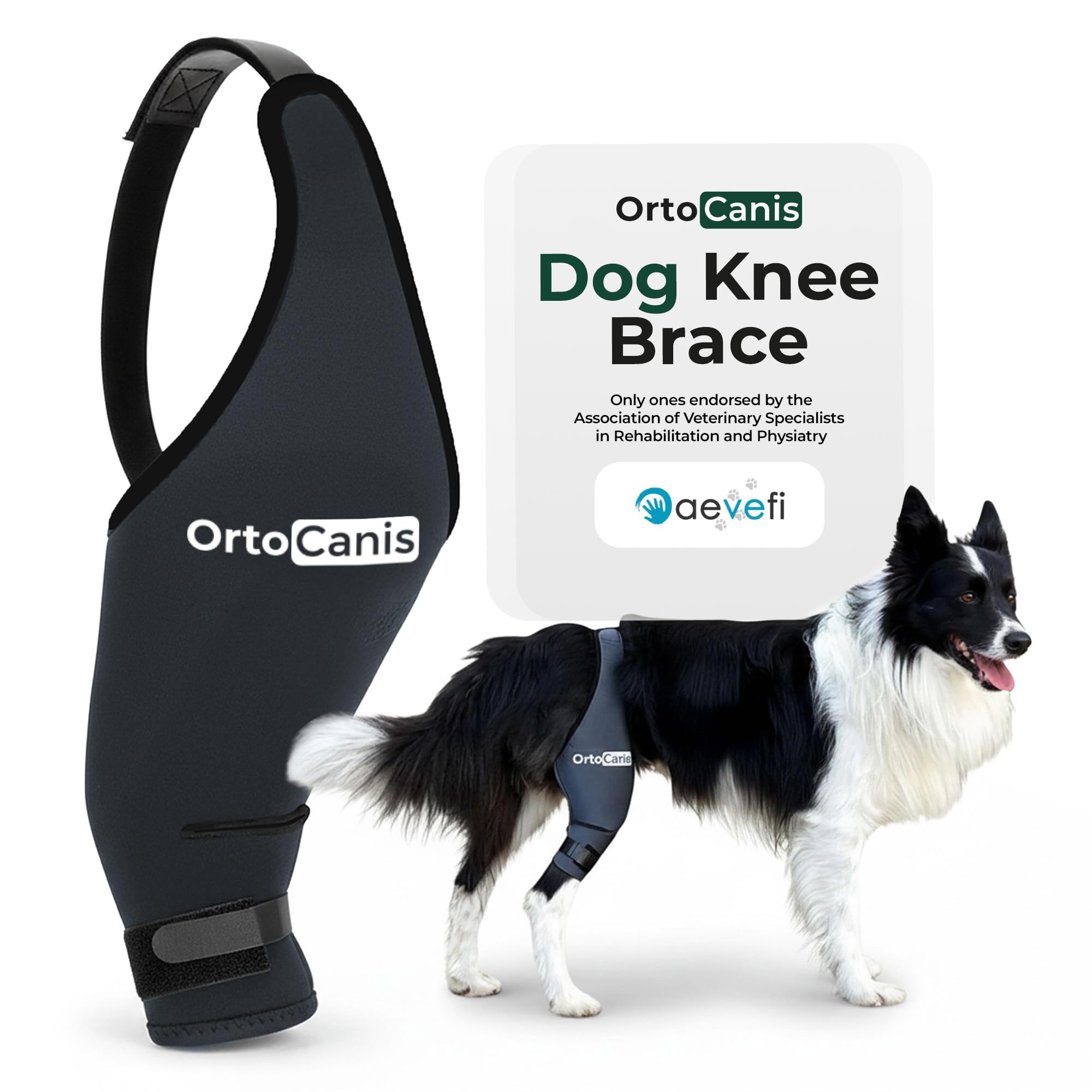 Ortocanis dog knee brace left leg provides 360 stability during daily walks.