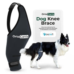 Ortocanis dog knee brace left leg provides 360 stability during daily walks.