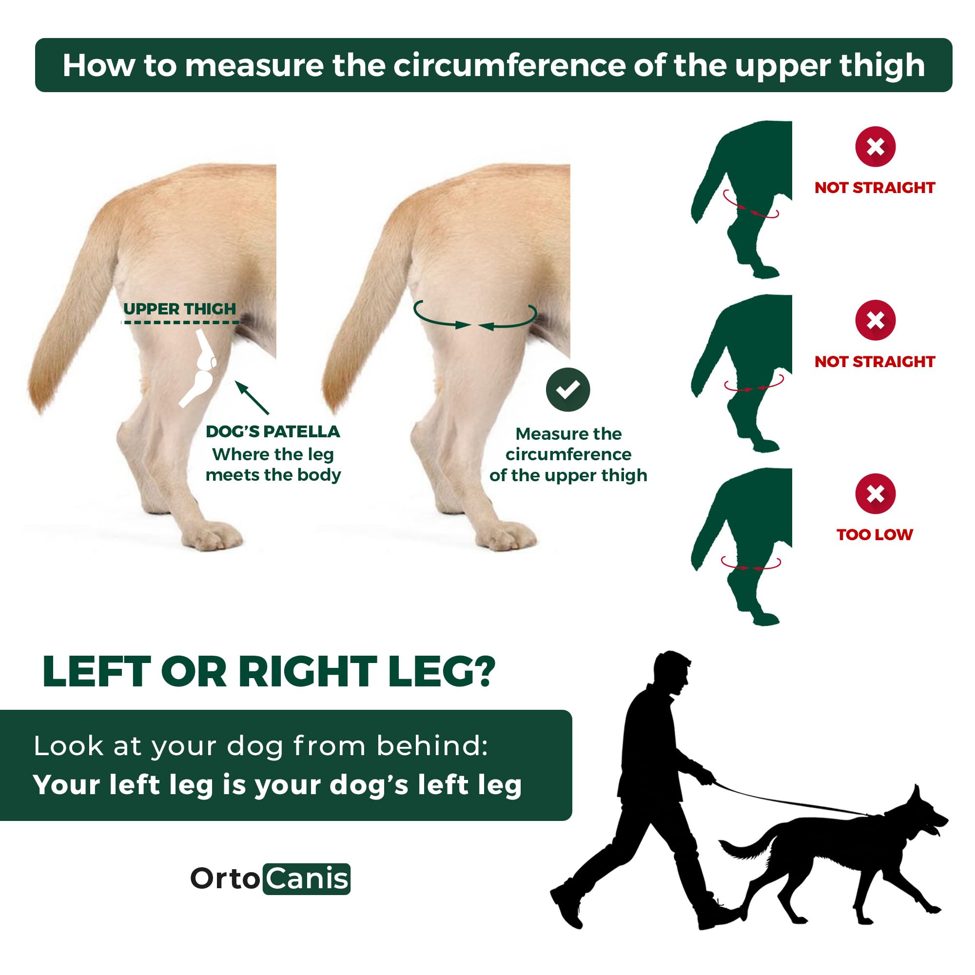 Ortocanis dog knee brace side view right illustrates snug, supportive wrap.