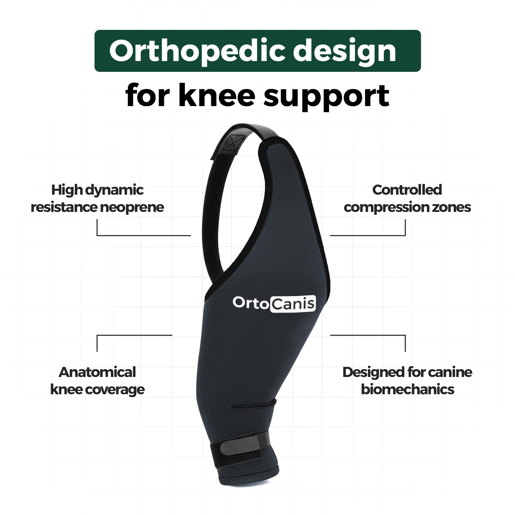 Ortocanis knee brace front view on a dog illustrates secure wrap