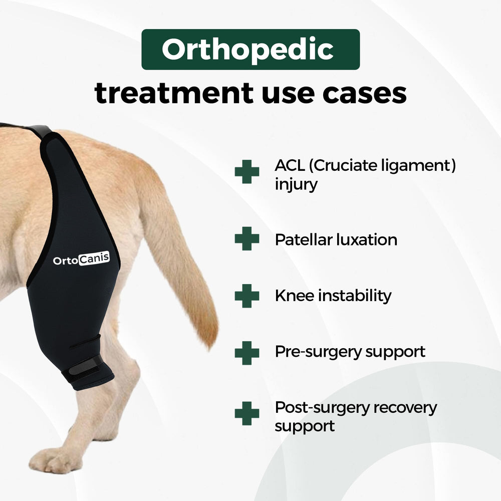 Ortocanis knee brace left leg helps reduce swelling and warms the joint.