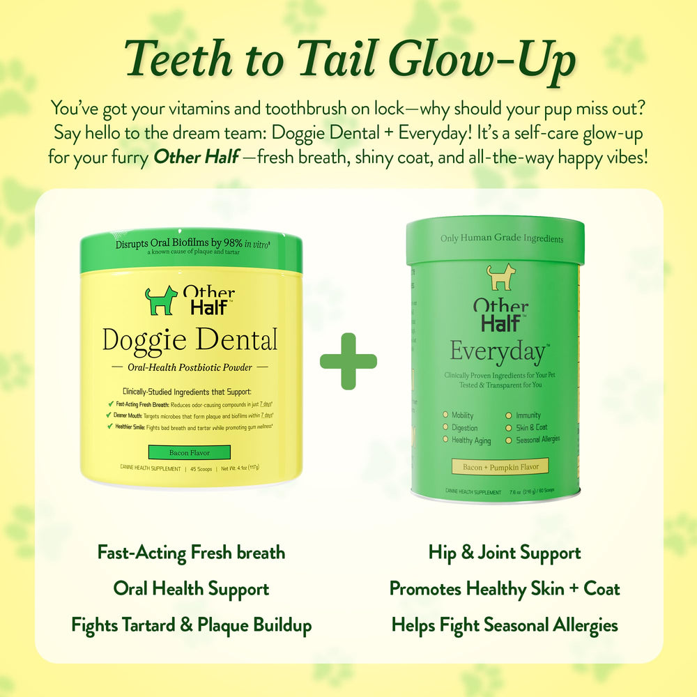 Dog enjoying a meal with a flavorful powder mix.