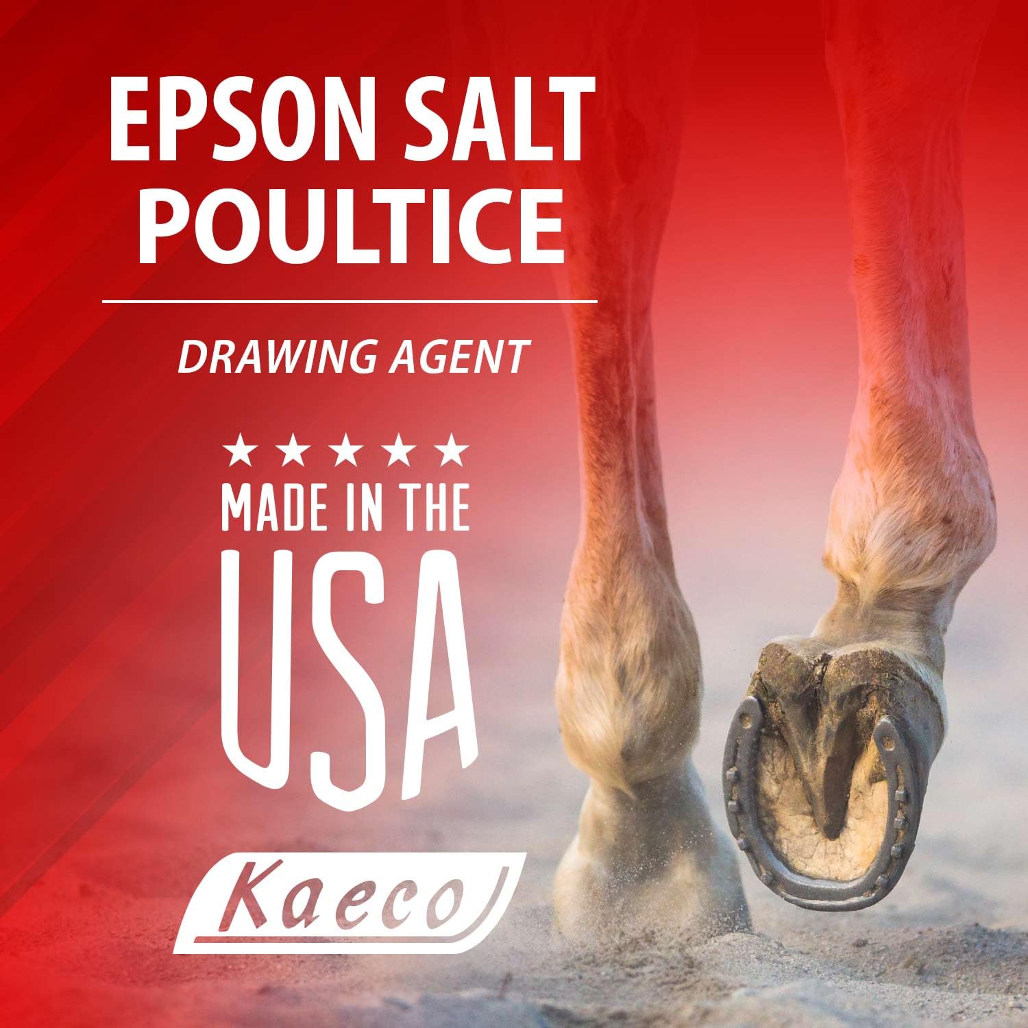 Other Kaeco Epsom Salt Poultice on horse leg demonstrating topical care