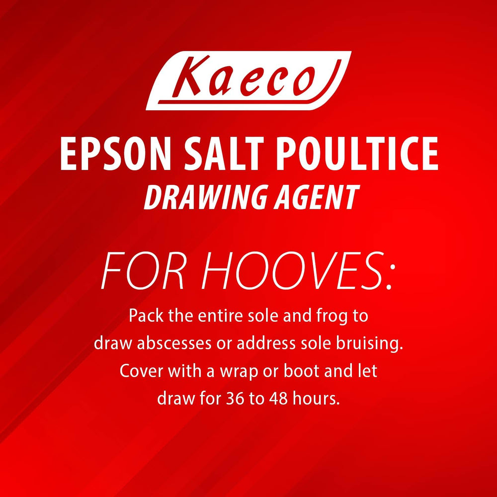 Other Kaeco Epsom Salt Poultice close-up texture on skin before use