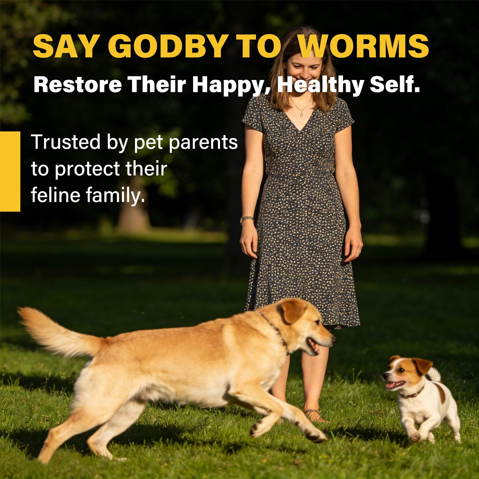 OthoKing dog dewormer packaging for home use and easy storage.