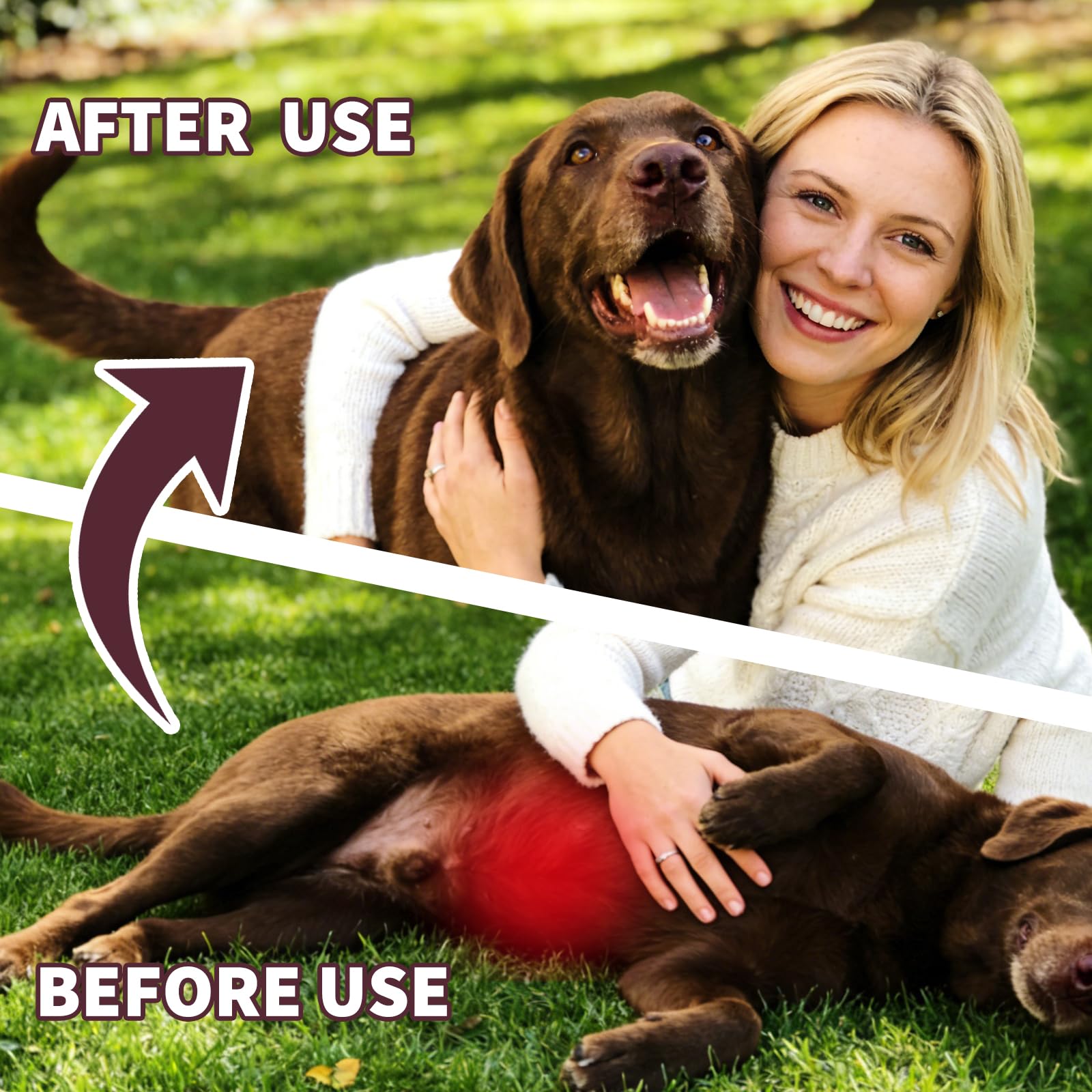 OthoKing dewormer tablets being offered to a puppy as a treat.