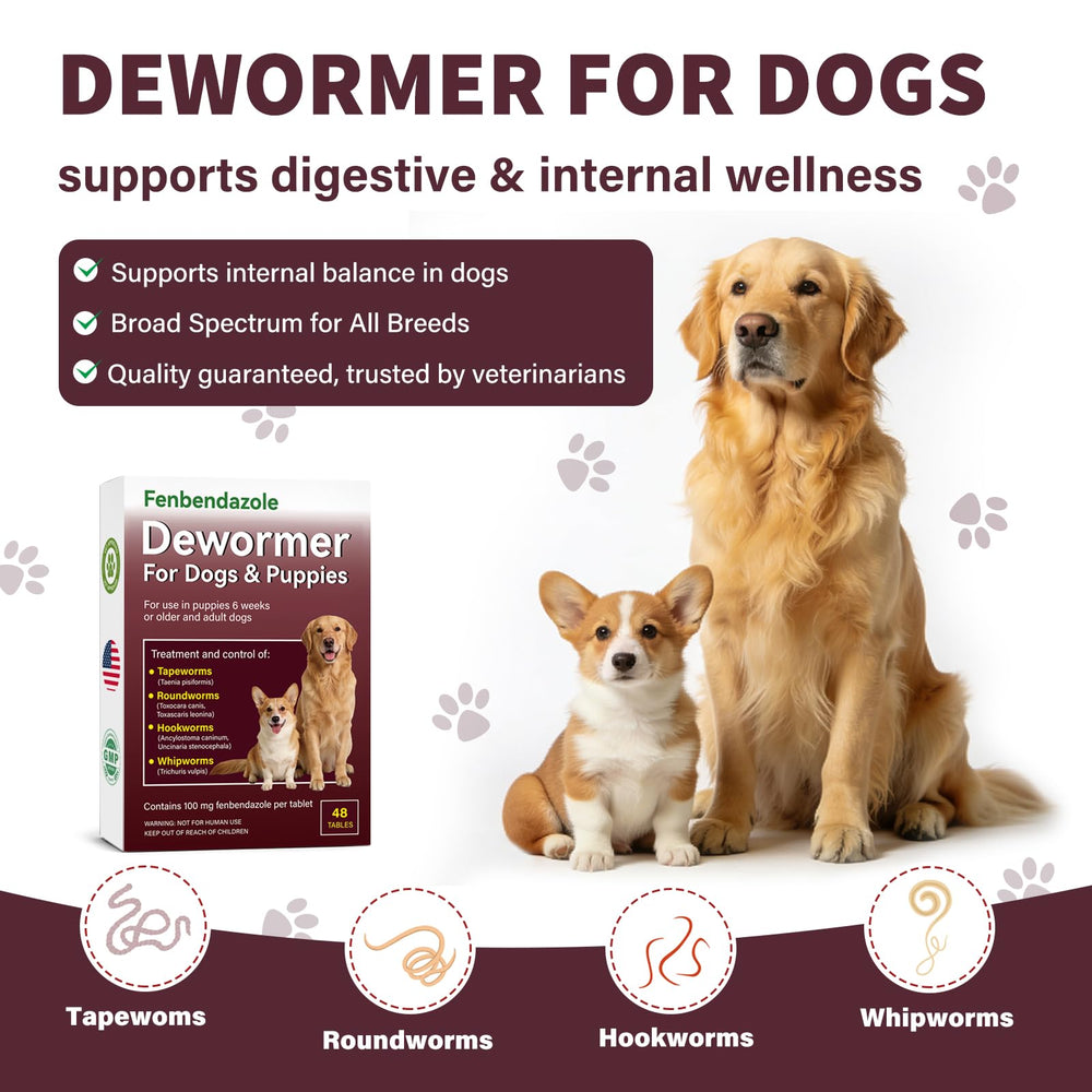 OthoKing dog dewormer tablets served with food for stress-free administration.