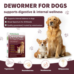 OthoKing dog dewormer tablets served with food for stress-free administration.