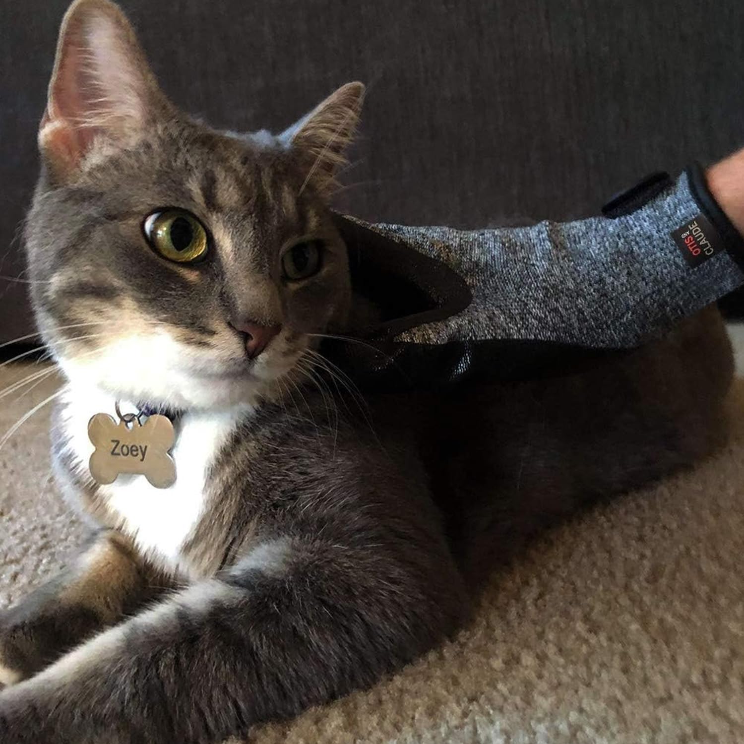 Otis & Claude one-size-fits-all glove with adjustable Velcro strap.