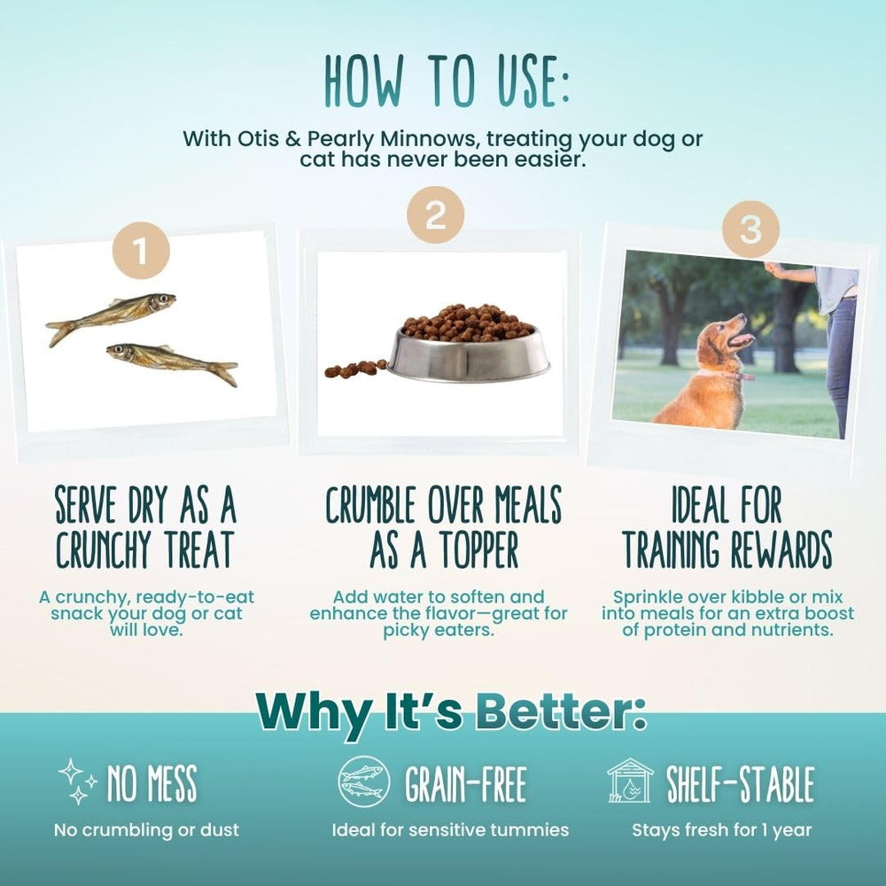 Cat sampling Otis and Pearly minnow treat as a single-ingredient snack