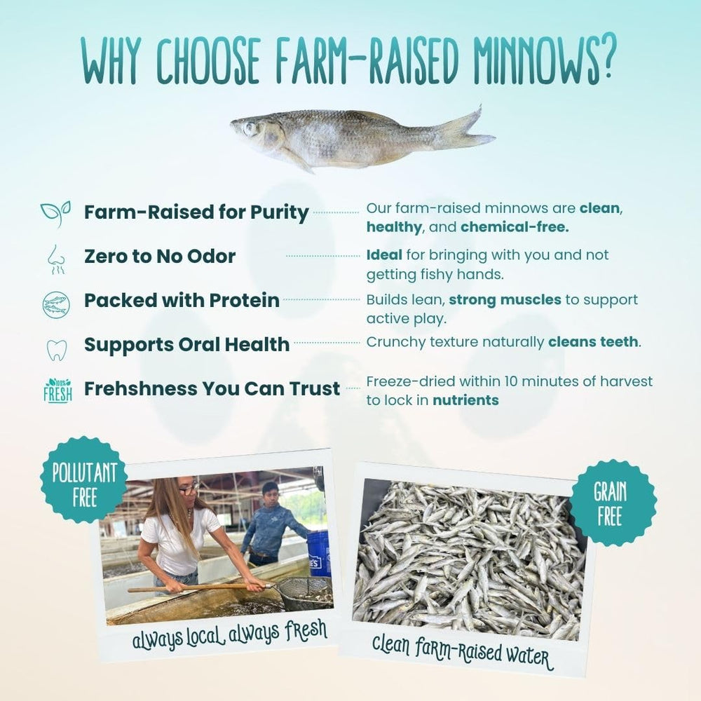 Otis and Pearly minnow treats single-ingredient label emphasizes pure protein option