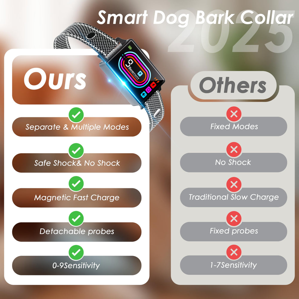 OTK bark collar used outdoors during walks and training.