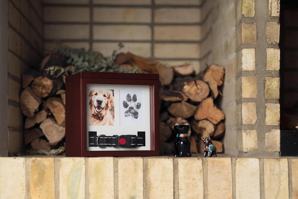 OtterPets cat urn ashes option suitable for feline memorials