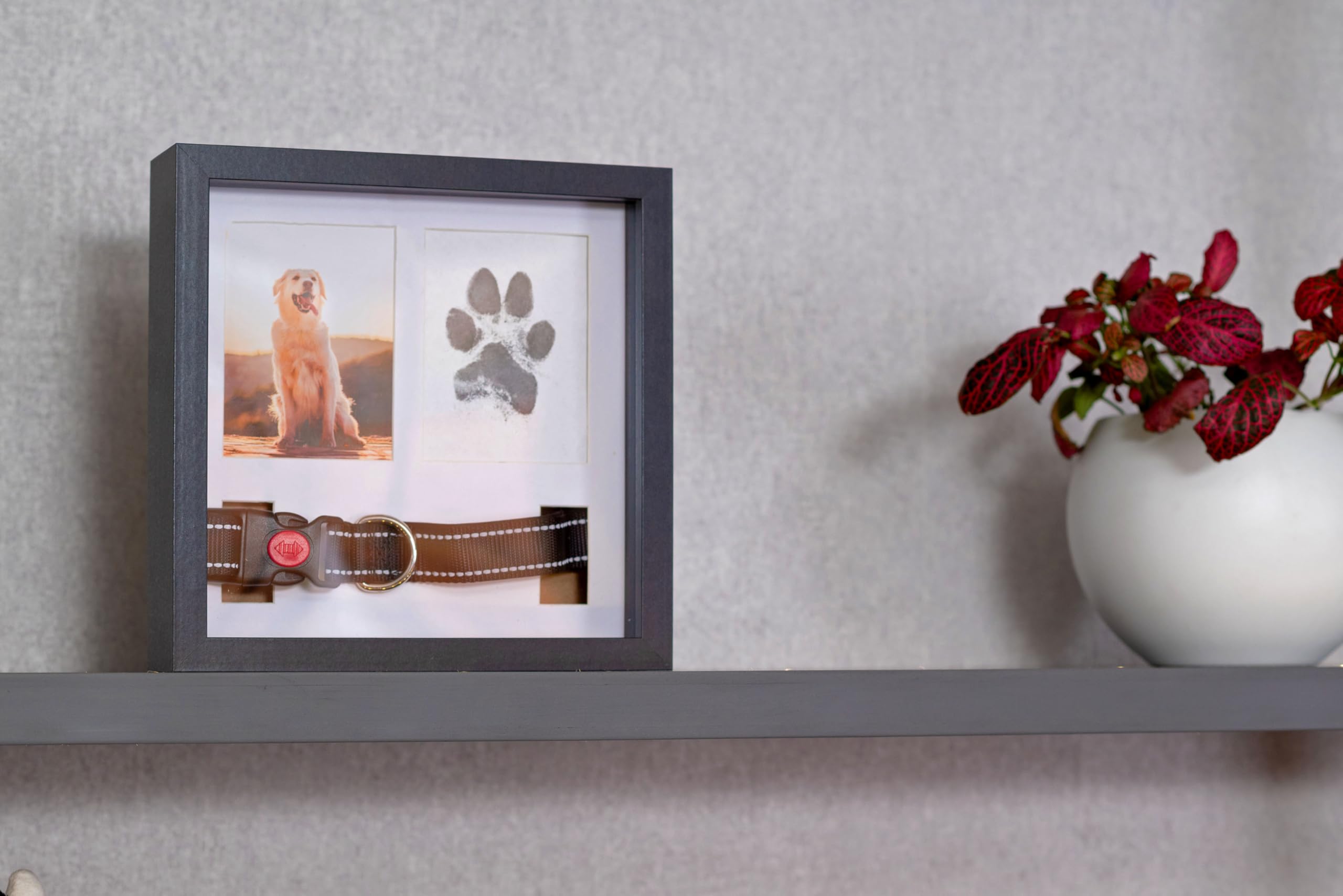 OtterPets memorial display shown on wall or table for flexible placement