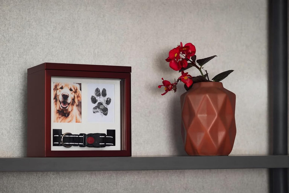OtterPets dog urn dimensions provide ample space for ashes and keepsakes
