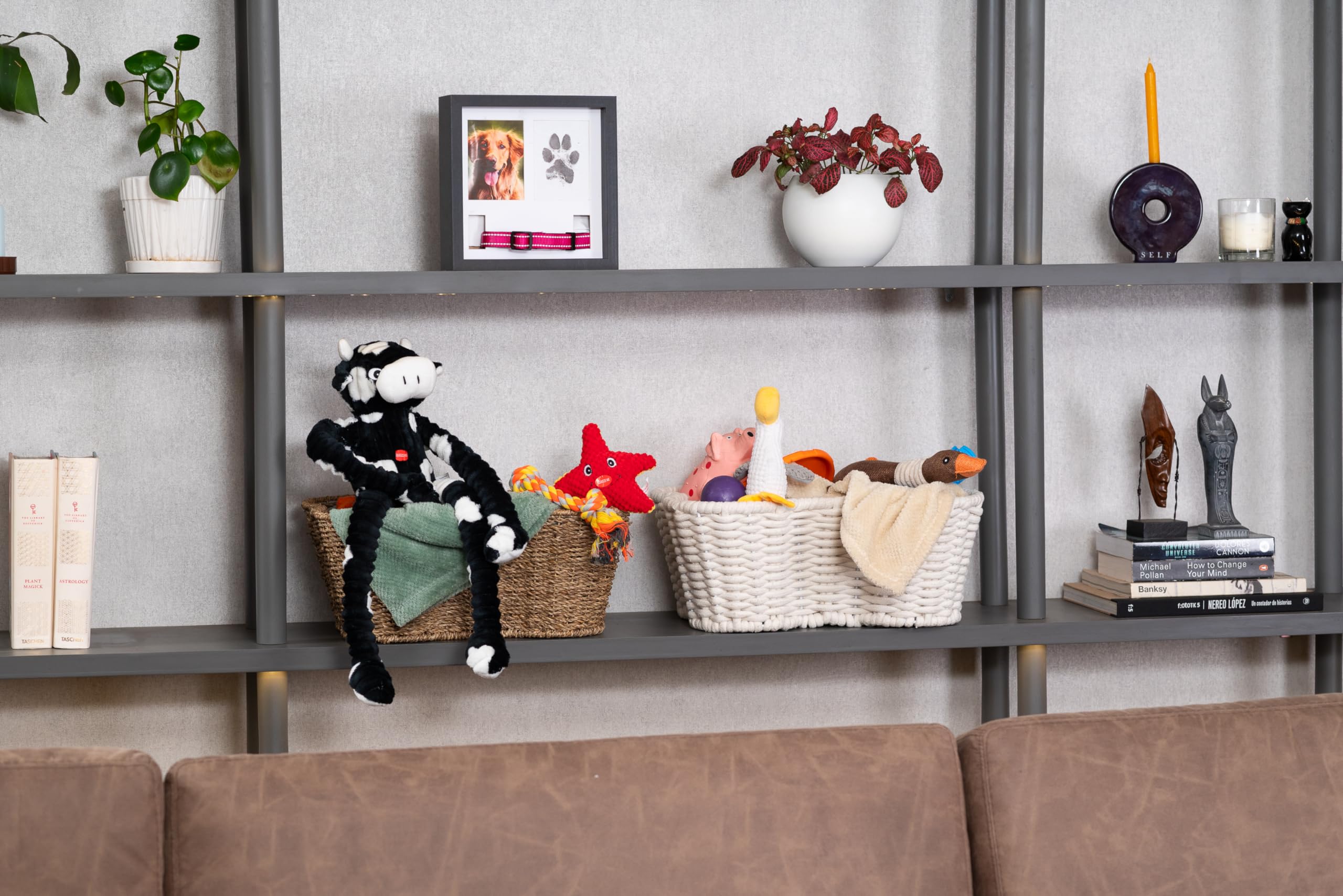 OtterPets durable plexiglass memory frame for lasting remembrance