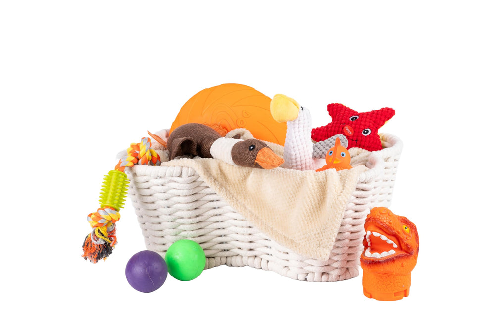 OtterPets handmade cotton rope bin blends natural style with practical toy storage.