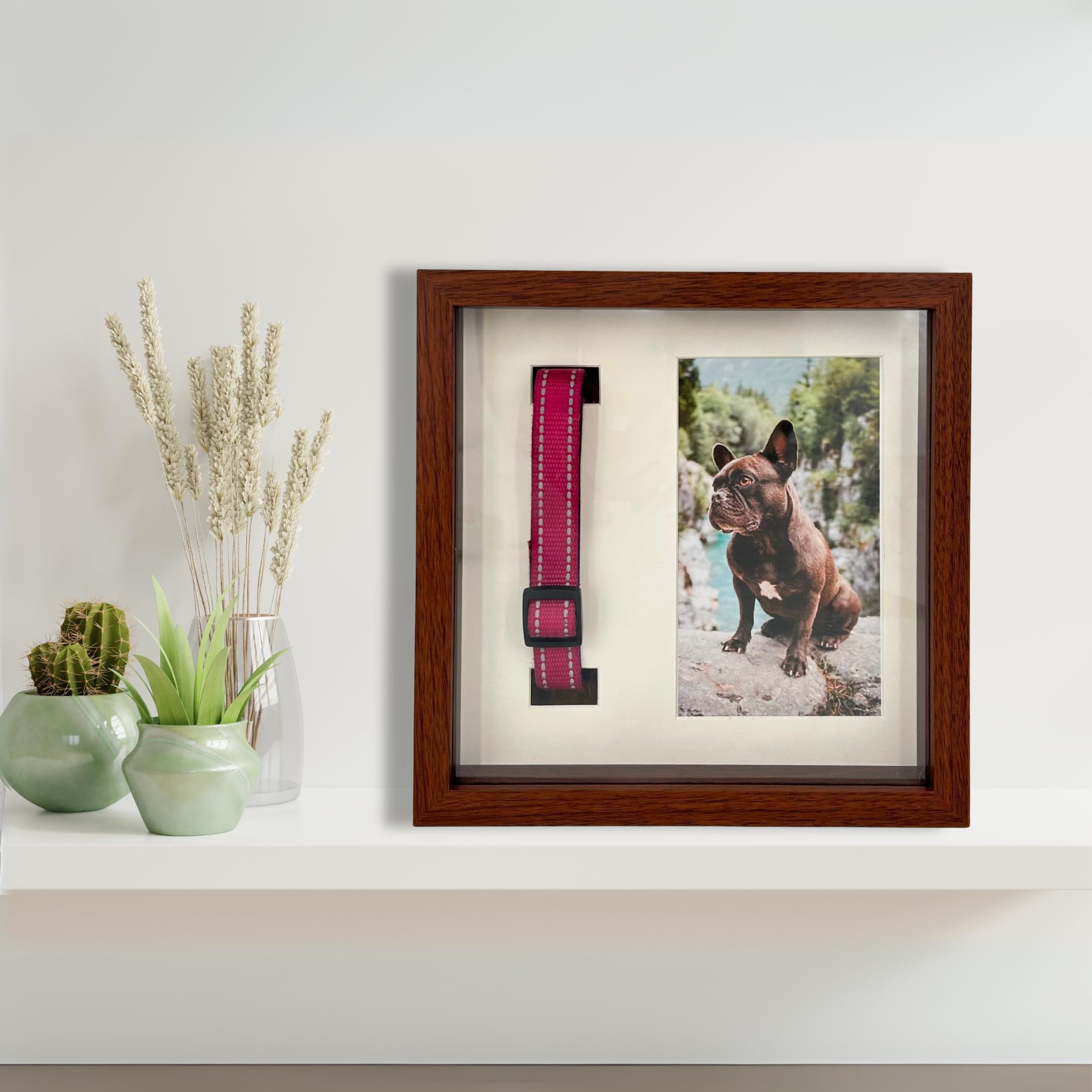 OtterPets display options for wall or tabletop setups.