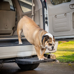 Otto Step lightweight 5 lb design enables portable pet ramp use