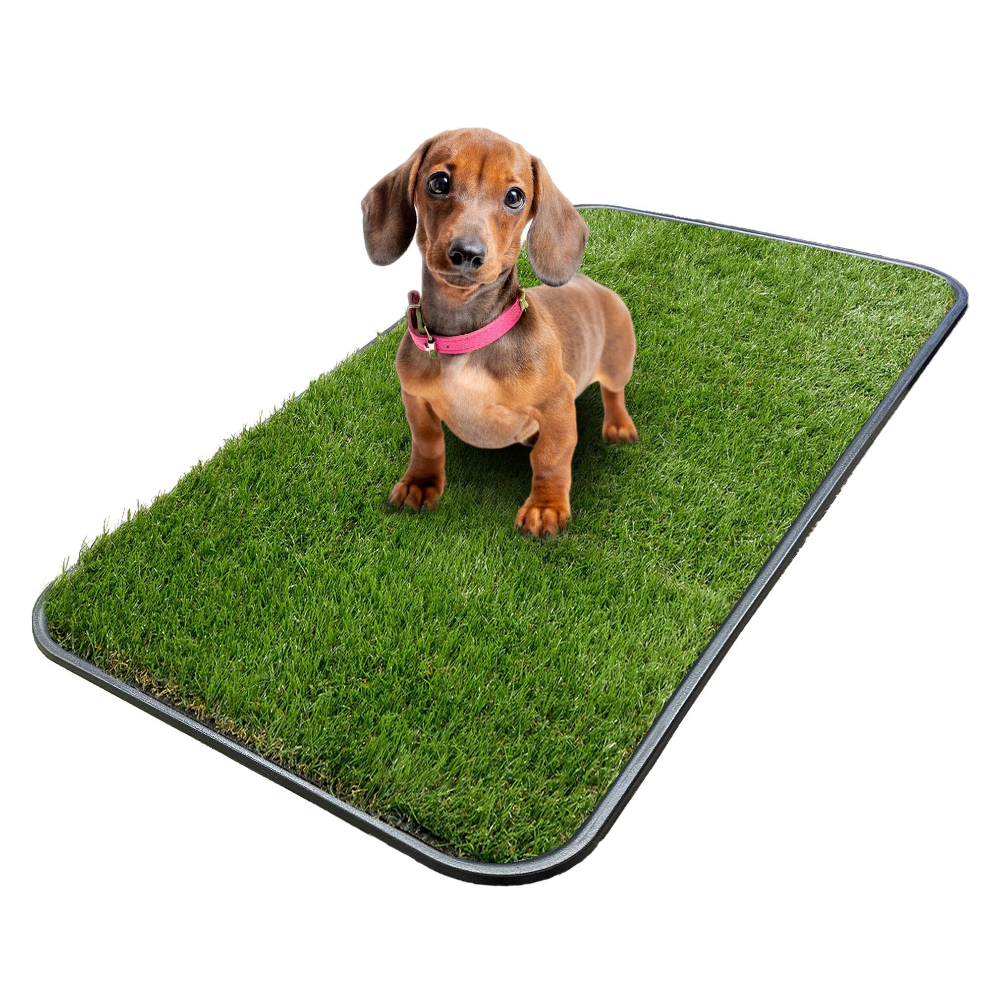 Ottomanson artificial-grass puppy potty tray, 15 x 30 inches, ideal for indoor relief.