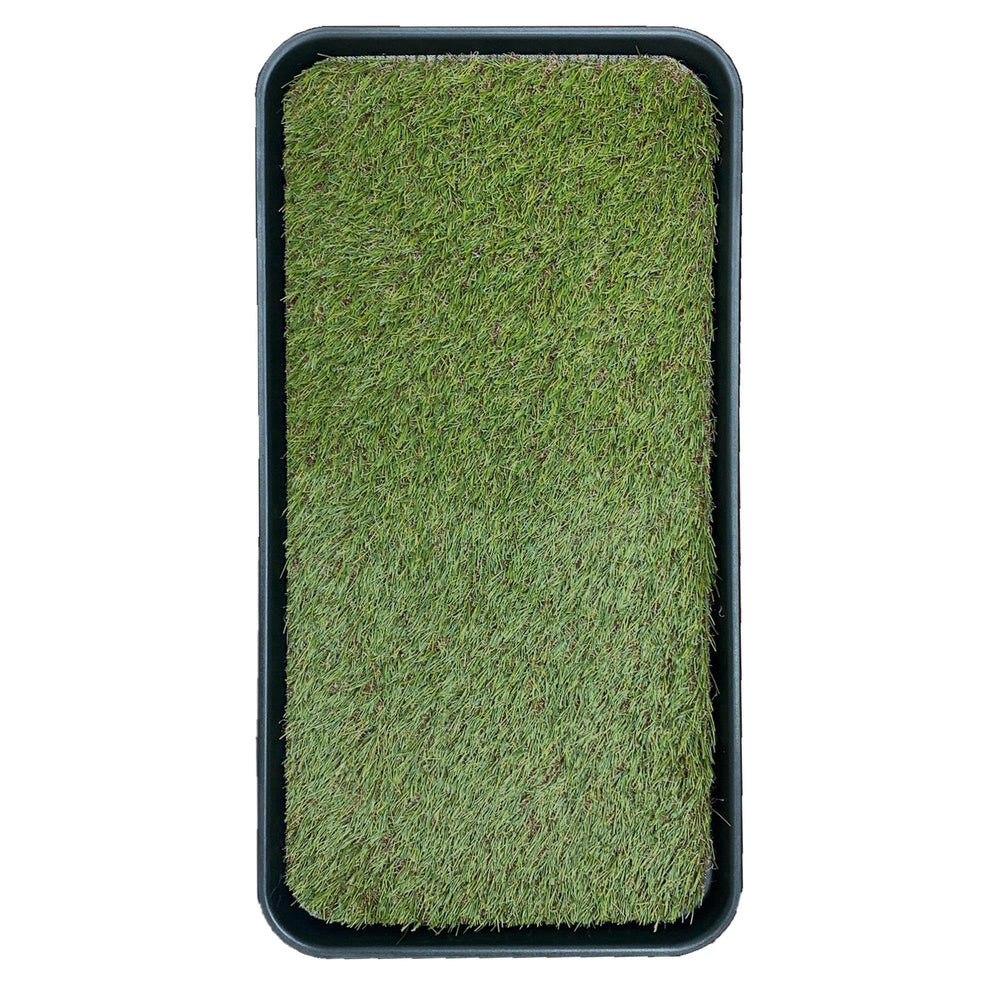 Ottomanson soft-permeable pad offers pet comfort during training.