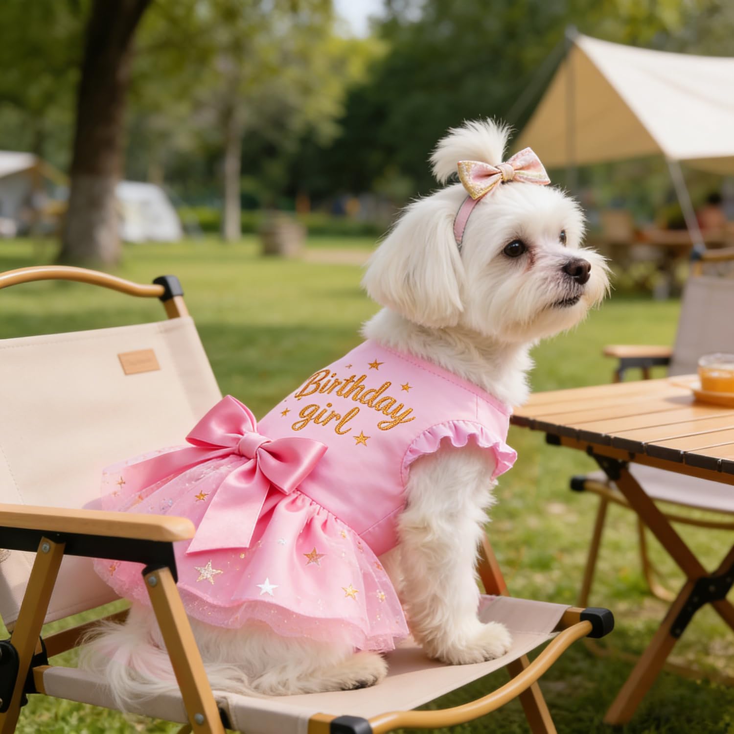 Otunrues daily wear dress for small dogs and cats at parties.