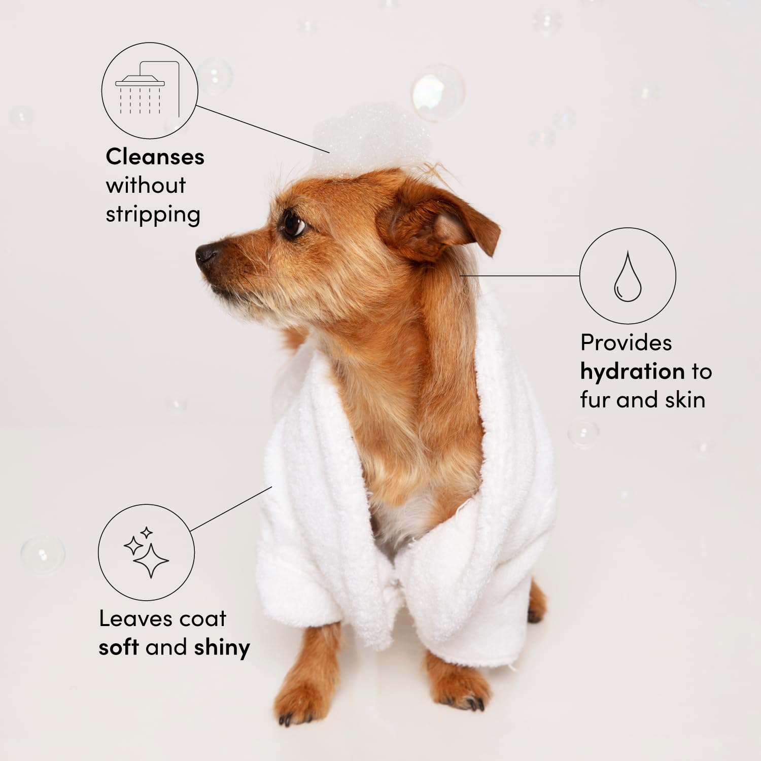 OUAI Fur Bébé applied to a dog coat to boost shine and softness