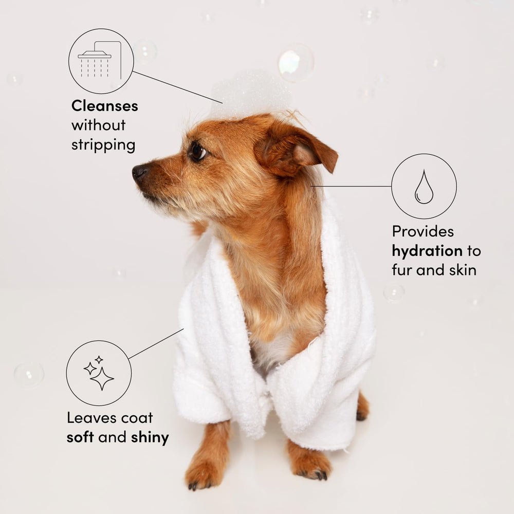 OUAI Fur Bébé applied to a dog coat to boost shine and softness