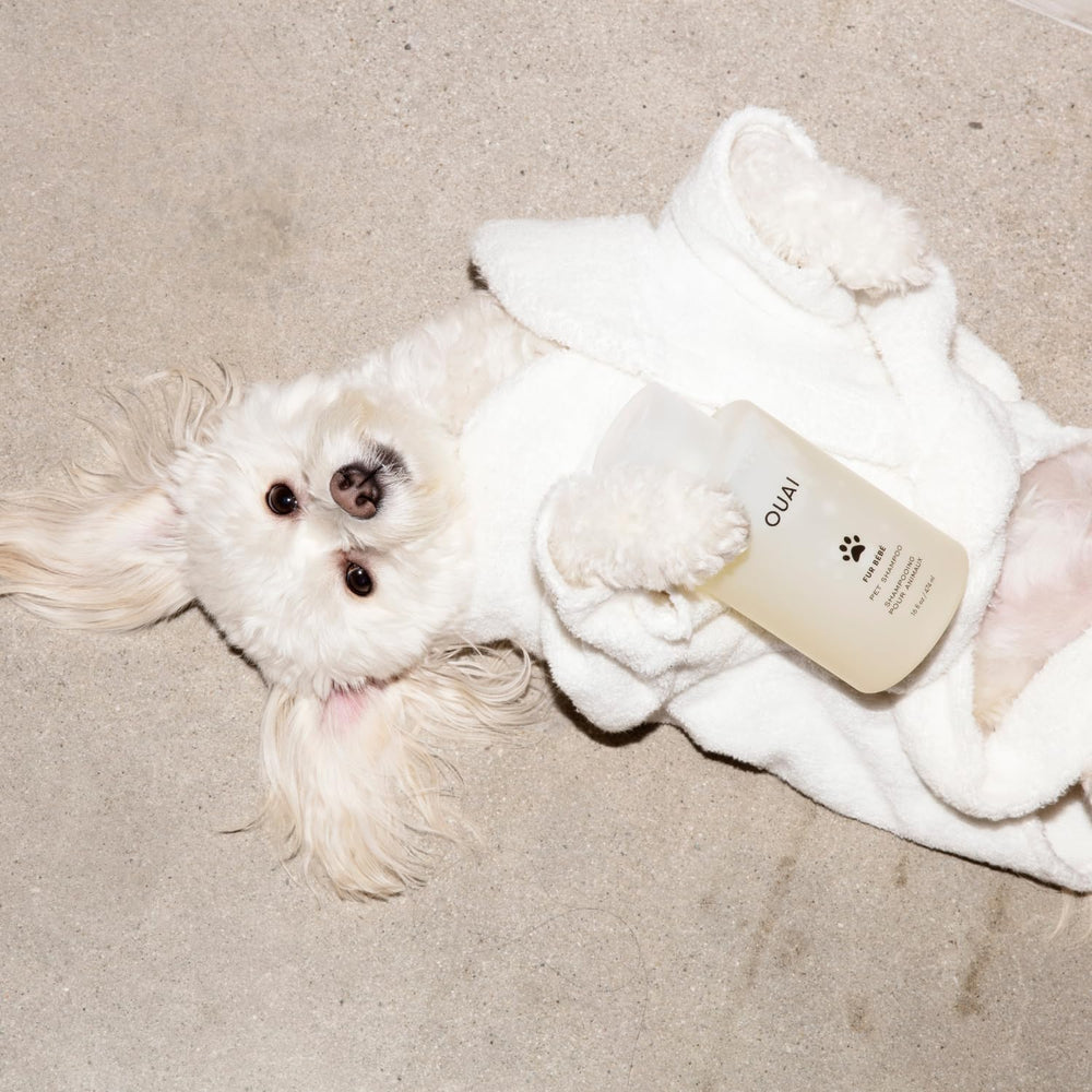 OUAI Fur Bébé grooming routine after outdoor activity for refreshed fur
