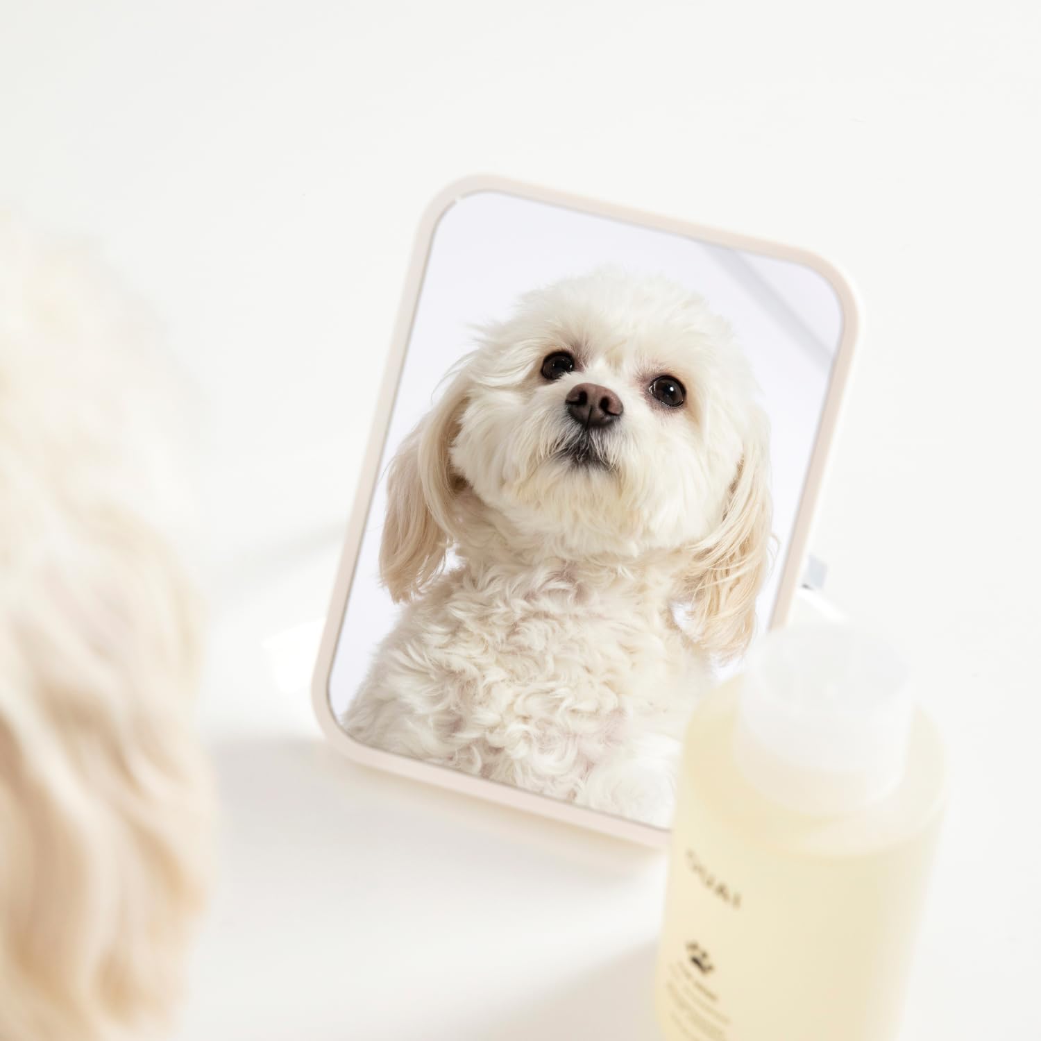 OUAI Fur Bébé Mercer Street scent on pet fur