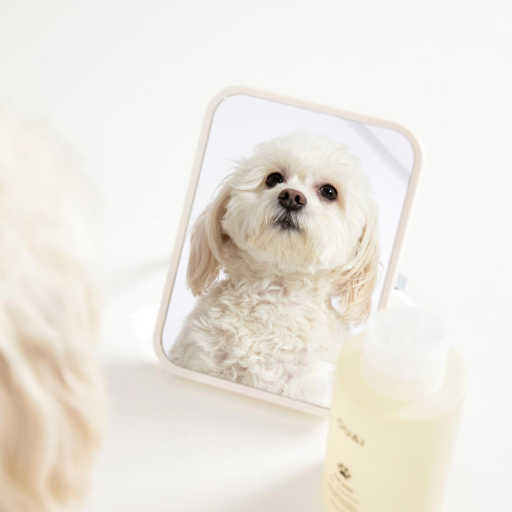 OUAI Fur Bébé Mercer Street scent on pet fur