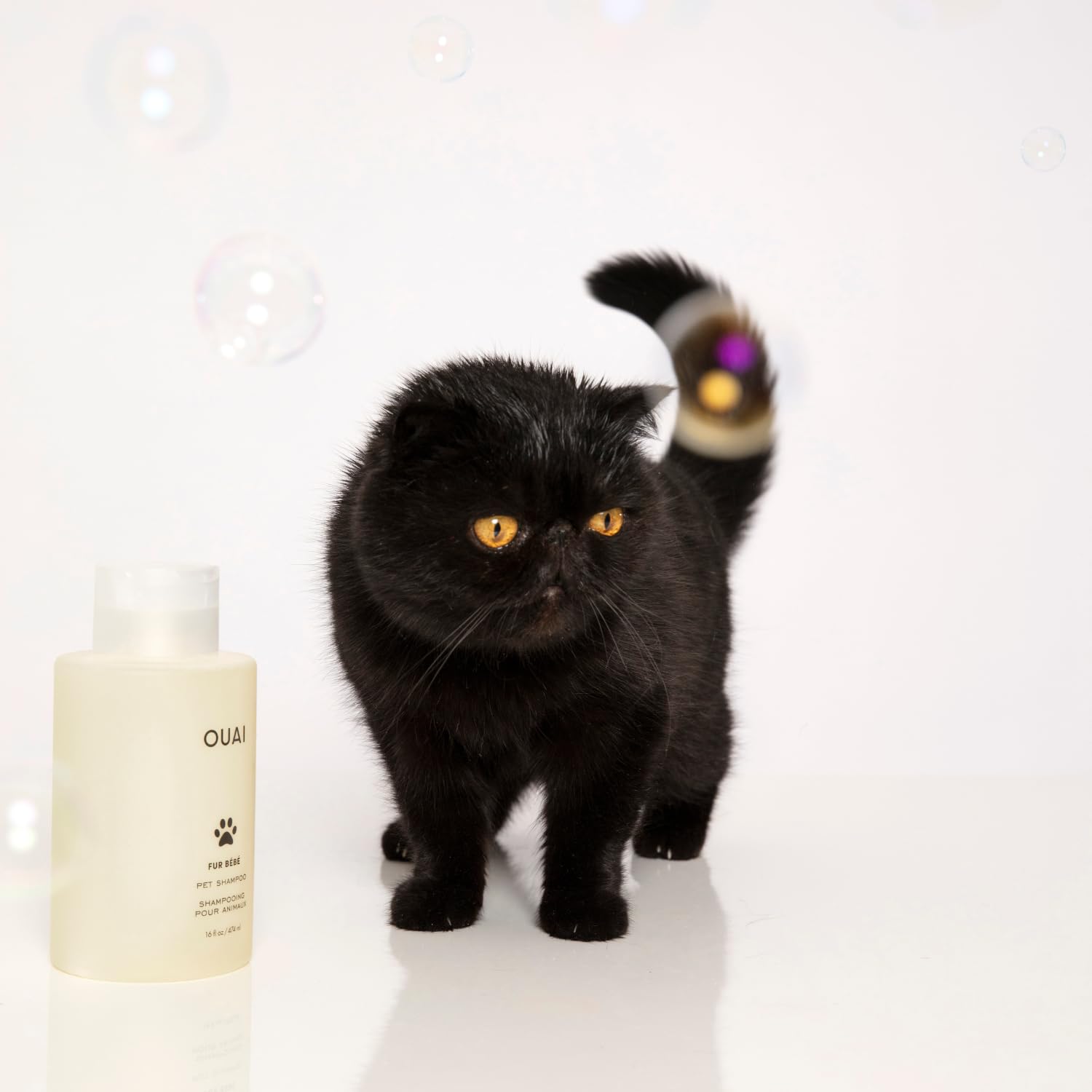 OUAI Fur Bébé brushing after bath shows a soft coat glow
