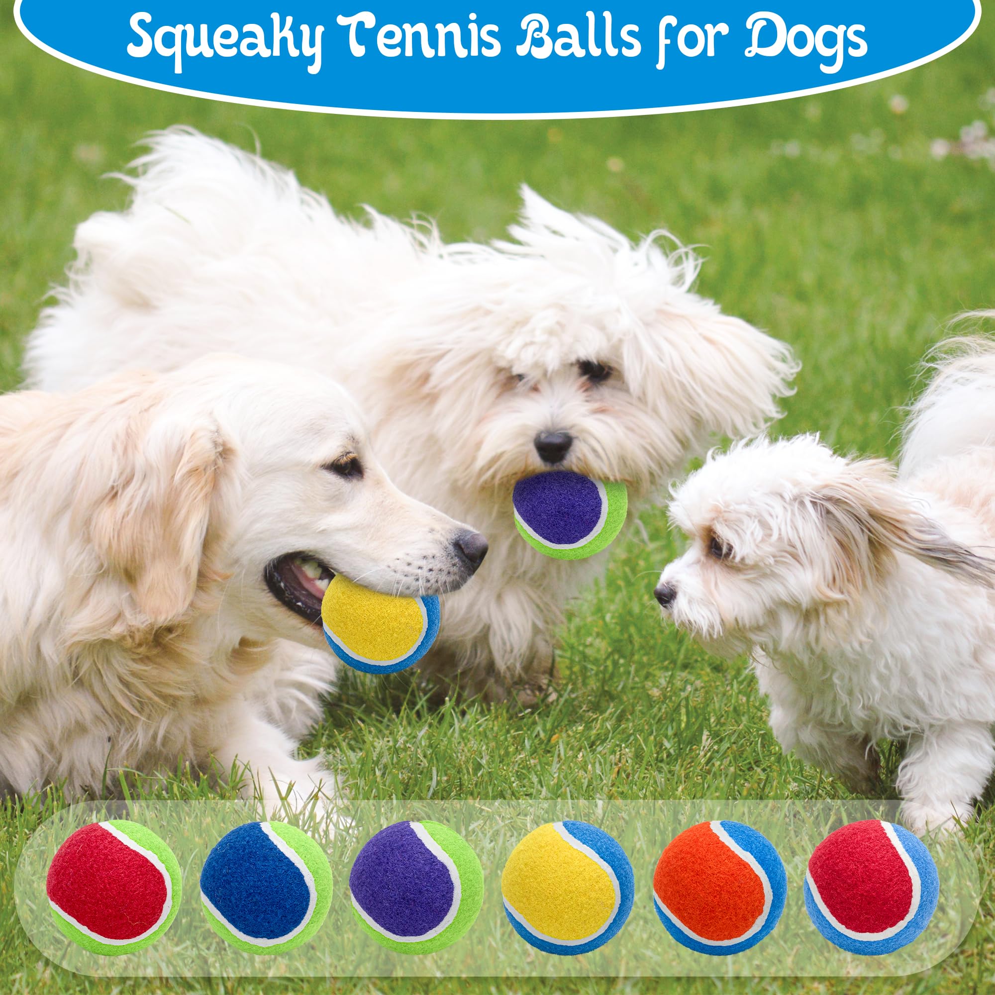 Six-color Ousiya pack ready for training sessions and playtime