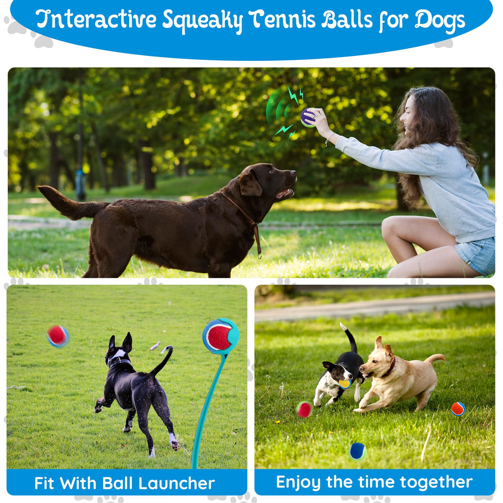 Dog playing outdoors with Ousiya balls in the yard for active fun