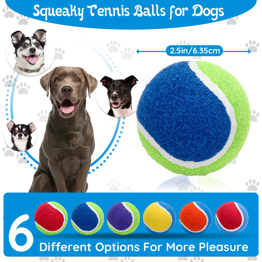 Ousiya squeaky balls with mesh bag for easy transport and organization