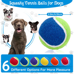 Ousiya squeaky balls with mesh bag for easy transport and organization