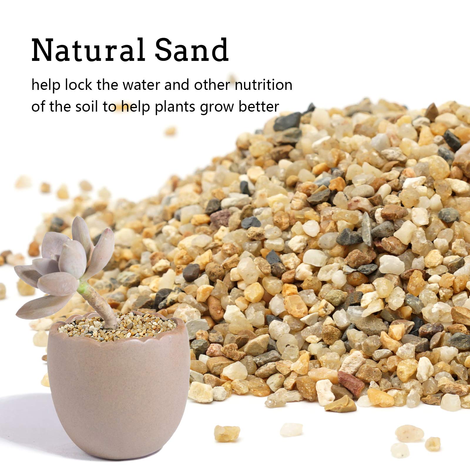 OUPENG Coarse Sand Stone enhances aquarium clarity and look