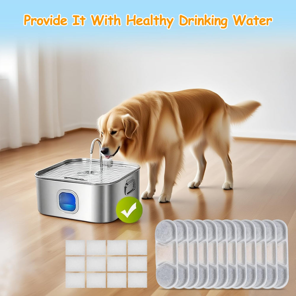 OUPUSES clean water helps pets stay hydrated