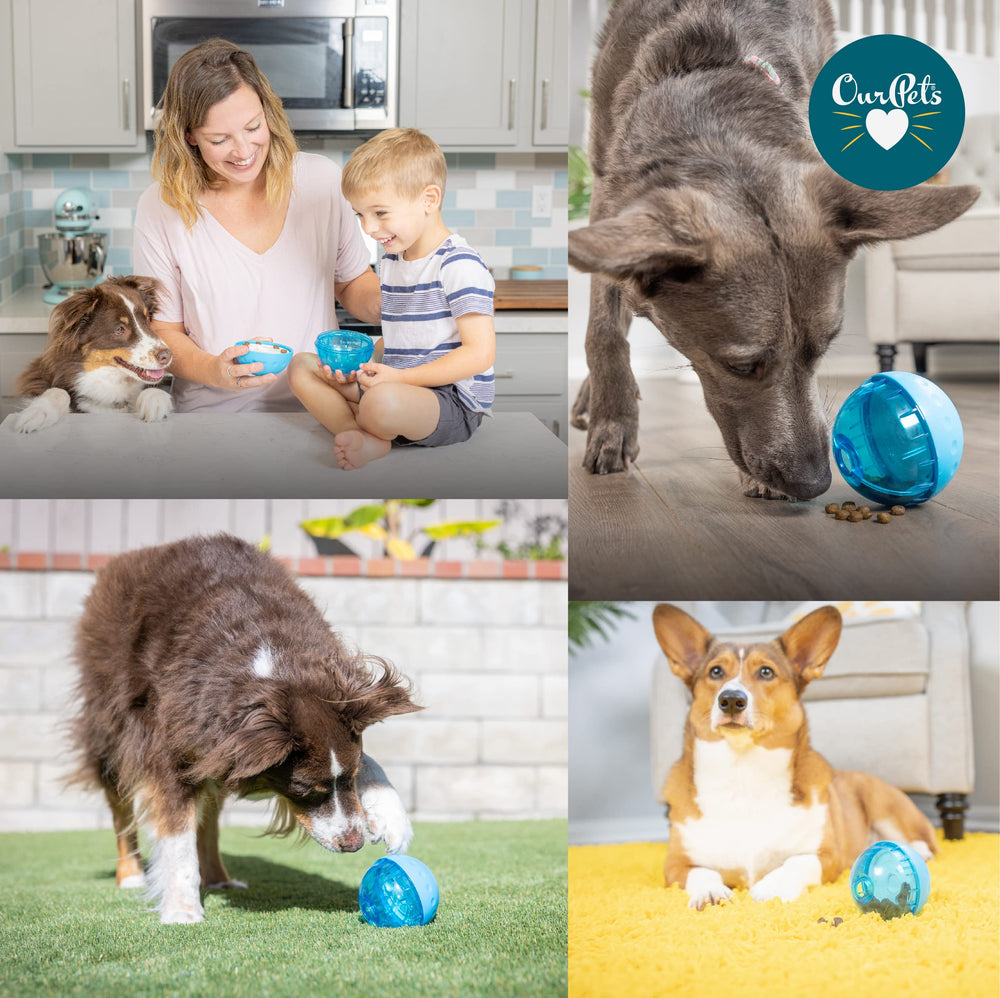 Our Pets IQ Treat Ball 4-inch indoor enrichment during rainy days.